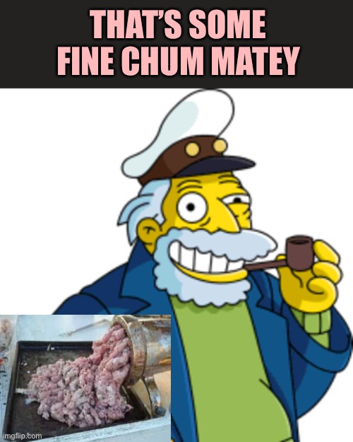 THAT’S SOME FINE CHUM MATEY | made w/ Imgflip meme maker