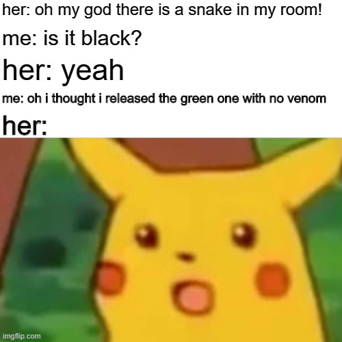 I do try that | her: oh my god there is a snake in my room! me: is it black? her: yeah; me: oh i thought i released the green one with no venom; her: | image tagged in memes,surprised pikachu | made w/ Imgflip meme maker