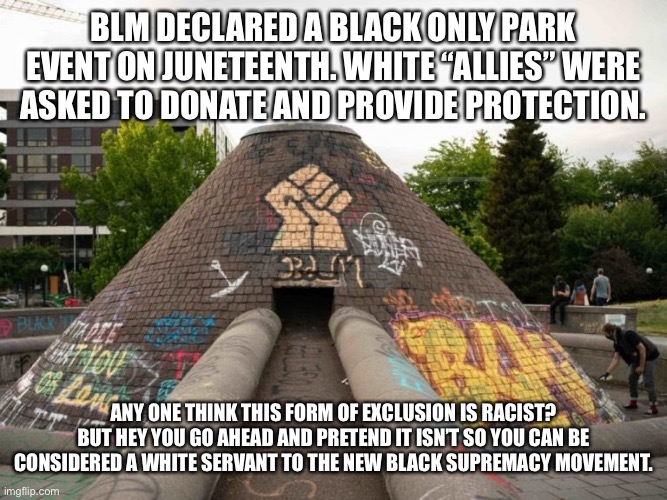 BLM DECLARED A BLACK ONLY PARK EVENT ON JUNETEENTH. WHITE “ALLIES” WERE ASKED TO DONATE AND PROVIDE PROTECTION. ANY ONE THINK THIS FORM OF EXCLUSION IS RACIST? BUT HEY YOU GO AHEAD AND PRETEND IT ISN’T SO YOU CAN BE CONSIDERED A WHITE SERVANT TO THE NEW BLACK SUPREMACY MOVEMENT. | image tagged in black lives matter | made w/ Imgflip meme maker
