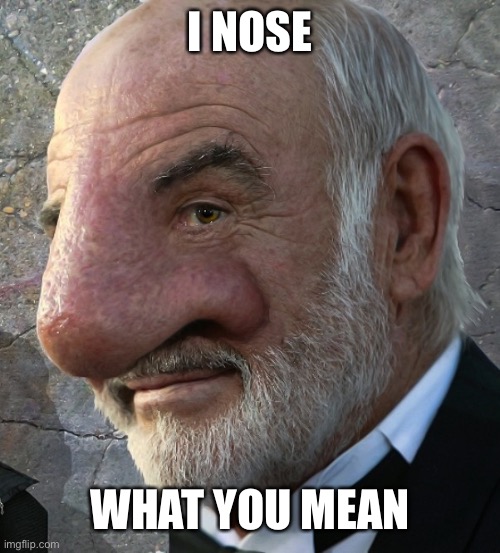 Connery big nose | I NOSE WHAT YOU MEAN | image tagged in connery big nose | made w/ Imgflip meme maker