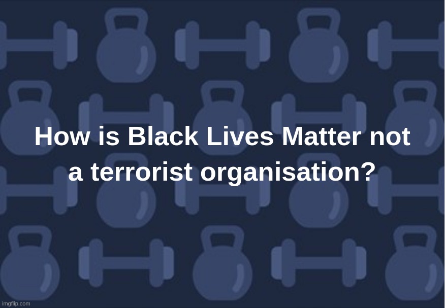 How is Black Lives Matter not a terrorist organisation? | image tagged in black,lives,matter,terrorist,organisation,antifa | made w/ Imgflip meme maker