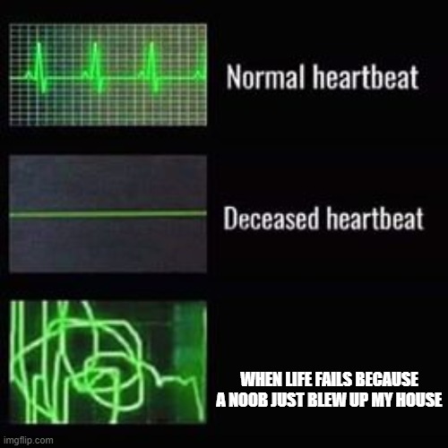heartbeat rate | WHEN LIFE FAILS BECAUSE A NOOB JUST BLEW UP MY HOUSE | image tagged in heartbeat rate | made w/ Imgflip meme maker