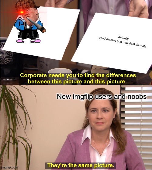 Noobs vs good memes | Actually good memes and new dank formats; New imgflip users and noobs | image tagged in memes,they're the same picture | made w/ Imgflip meme maker