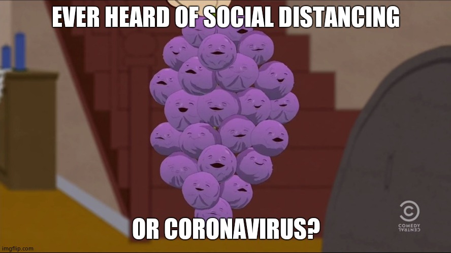 Oof | EVER HEARD OF SOCIAL DISTANCING; OR CORONAVIRUS? | image tagged in memes,member berries | made w/ Imgflip meme maker