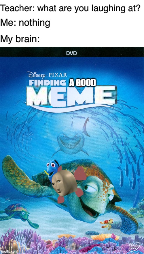 Finding a good meme!!! | A GOOD | image tagged in teacher what are you laughing at,finding nemo,stonks,funny,memes | made w/ Imgflip meme maker