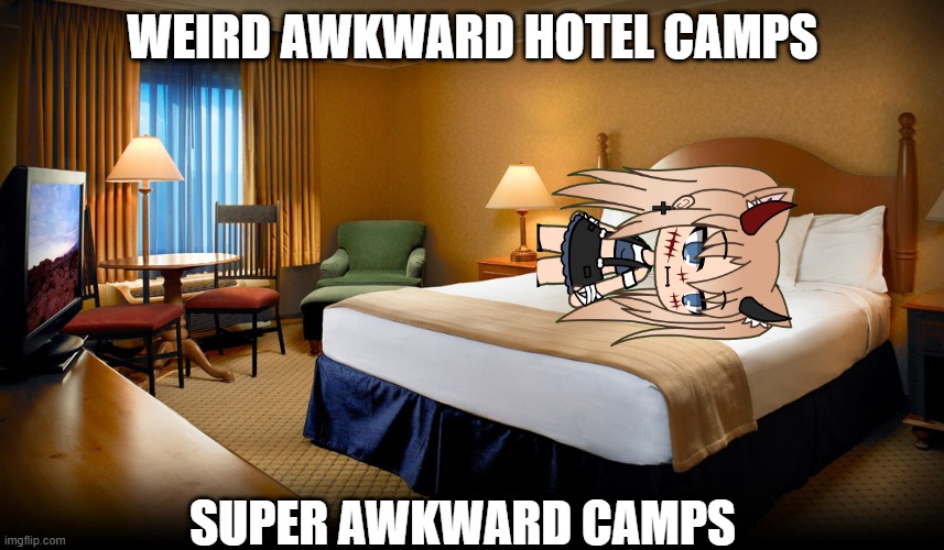 awkward camps | WEIRD AWKWARD HOTEL CAMPS; SUPER AWKWARD CAMPS | image tagged in hotel room | made w/ Imgflip meme maker