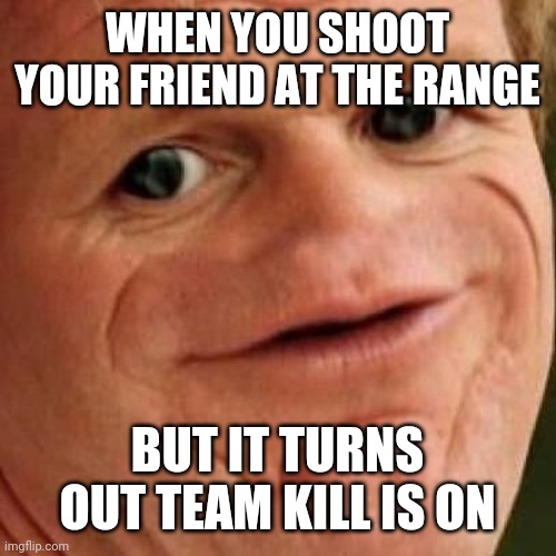 SOSIG | WHEN YOU SHOOT YOUR FRIEND AT THE RANGE; BUT IT TURNS OUT TEAM KILL IS ON | image tagged in sosig | made w/ Imgflip meme maker