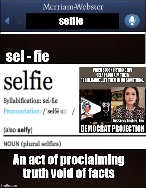 Selfie Proclamation | Jessica Tarlov-Fox | image tagged in selfie,tarlov,projection,2016 election,trump | made w/ Imgflip meme maker