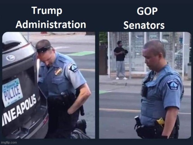 Failure in government | image tagged in trump,gop,senate,black lives matter,blm | made w/ Imgflip meme maker