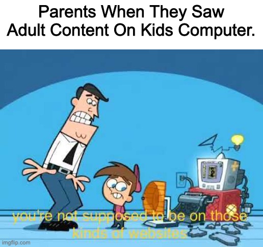 My Random Meme 2.0 | Parents When They Saw Adult Content On Kids Computer. | image tagged in you're not supposed to be on those kinds of websites | made w/ Imgflip meme maker