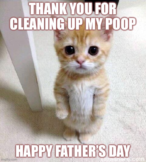 Happy Father’s Day! | THANK YOU FOR CLEANING UP MY POOP; HAPPY FATHER’S DAY | image tagged in memes,cute cat | made w/ Imgflip meme maker