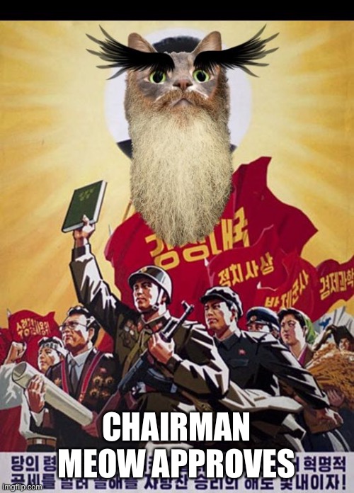 Ancient Wise Juche Cat | CHAIRMAN MEOW APPROVES | image tagged in ancient wise juche cat | made w/ Imgflip meme maker