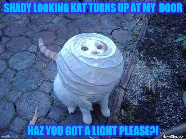 Katz! | SHADY LOOKING KAT TURNS UP AT MY  DOOR; HAZ YOU GOT A LIGHT PLEASE?! | image tagged in meme,shady,cat,haz you got a light,suspicious cat,hmm | made w/ Imgflip meme maker