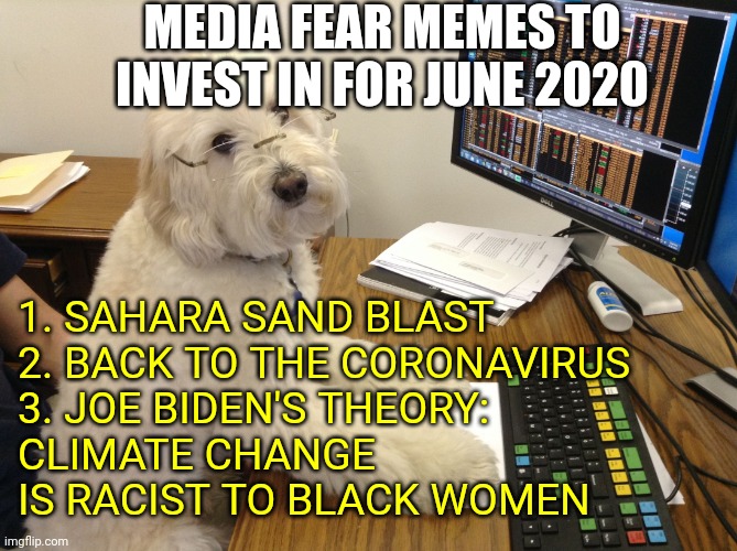 Media News Crisis Stories to Meme About Prediction | MEDIA FEAR MEMES TO INVEST IN FOR JUNE 2020; 1. SAHARA SAND BLAST
2. BACK TO THE CORONAVIRUS
3. JOE BIDEN'S THEORY:
CLIMATE CHANGE IS RACIST TO BLACK WOMEN | image tagged in stock broker dog,news,joe biden,coronavirus,memes | made w/ Imgflip meme maker