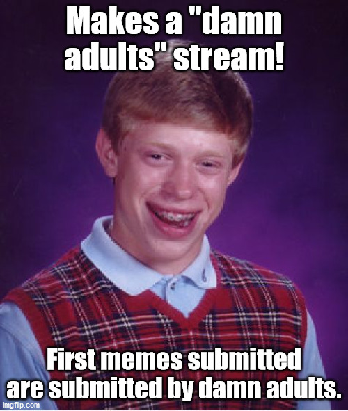 IRONY! | Makes a "damn adults" stream! First memes submitted are submitted by damn adults. | image tagged in memes,bad luck brian | made w/ Imgflip meme maker