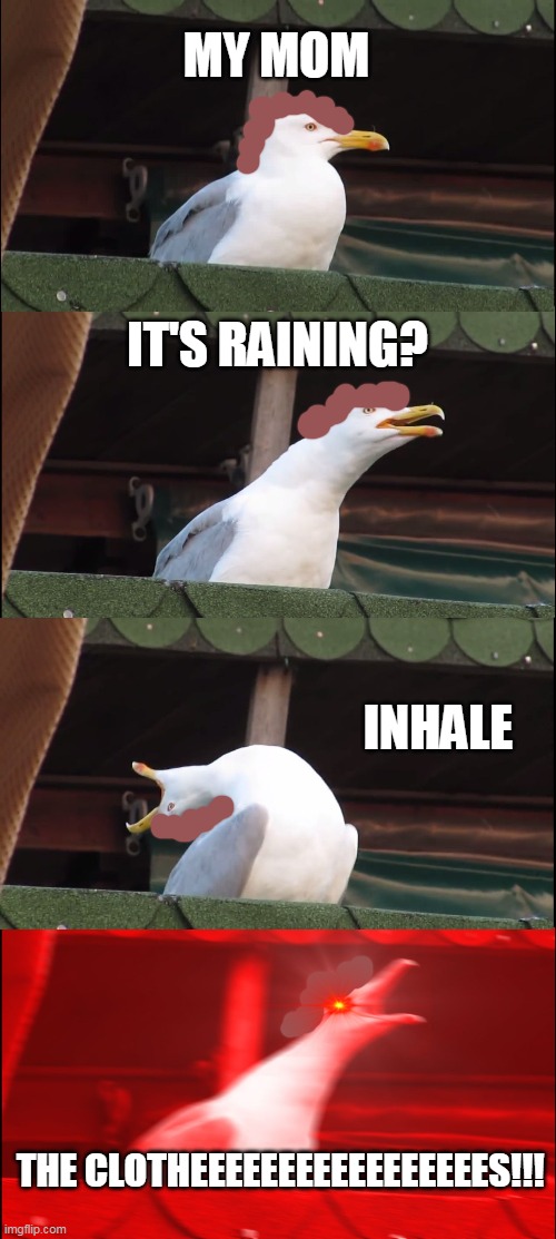 my mom clothe's wet | MY MOM; IT'S RAINING? INHALE; THE CLOTHEEEEEEEEEEEEEEEEES!!! | image tagged in memes,inhaling seagull | made w/ Imgflip meme maker