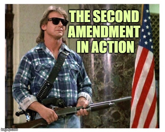 The Second Amendment protects the rest | THE SECOND 
AMENDMENT 
IN ACTION | image tagged in rip roddy piper | made w/ Imgflip meme maker