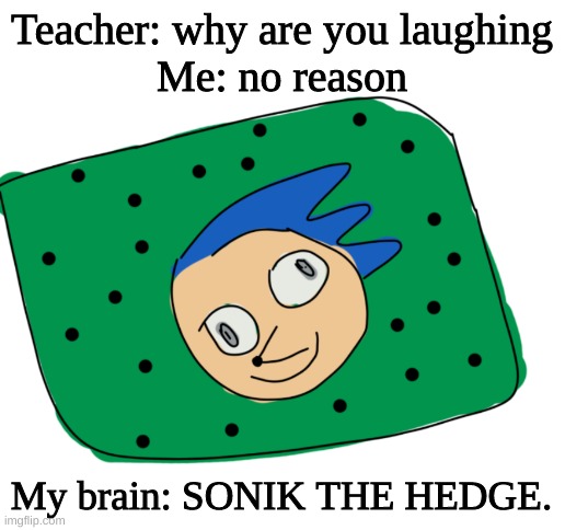 Teacher: why are you laughing
Me: no reason; My brain: SONIK THE HEDGE. | image tagged in blank white template | made w/ Imgflip meme maker