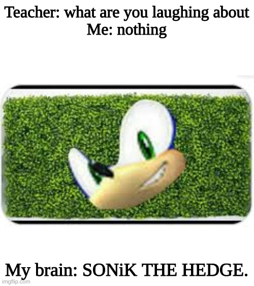 Teacher: what are you laughing about
Me: nothing; My brain: SONiK THE HEDGE. | image tagged in blank white template | made w/ Imgflip meme maker