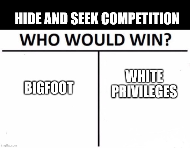 Who Would Win? Meme | BIGFOOT WHITE PRIVILEGES HIDE AND SEEK COMPETITION | image tagged in memes,who would win | made w/ Imgflip meme maker