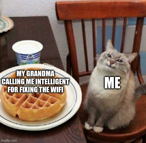 Cat likes their waffle | ME; MY GRANDMA CALLING ME INTELLIGENT FOR FIXING THE WIFI | image tagged in cat likes their waffle | made w/ Imgflip meme maker
