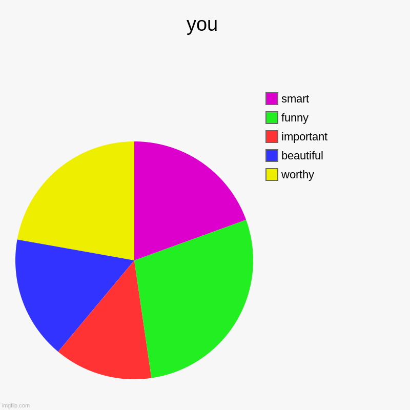 you | worthy, beautiful, important, funny, smart | image tagged in charts,pie charts | made w/ Imgflip chart maker