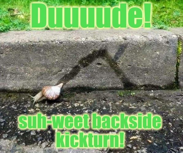 Duuuude! suh-weet backside
kickturn! | image tagged in backside,kickturn,sweet,skate | made w/ Imgflip meme maker