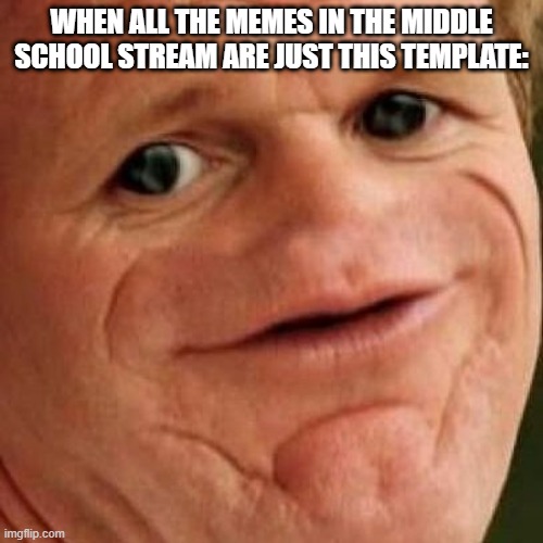 SOSIG | WHEN ALL THE MEMES IN THE MIDDLE SCHOOL STREAM ARE JUST THIS TEMPLATE: | image tagged in sosig | made w/ Imgflip meme maker