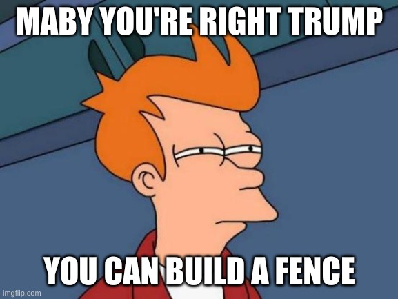 Futurama Fry | MABY YOU'RE RIGHT TRUMP; YOU CAN BUILD A FENCE | image tagged in memes,futurama fry | made w/ Imgflip meme maker