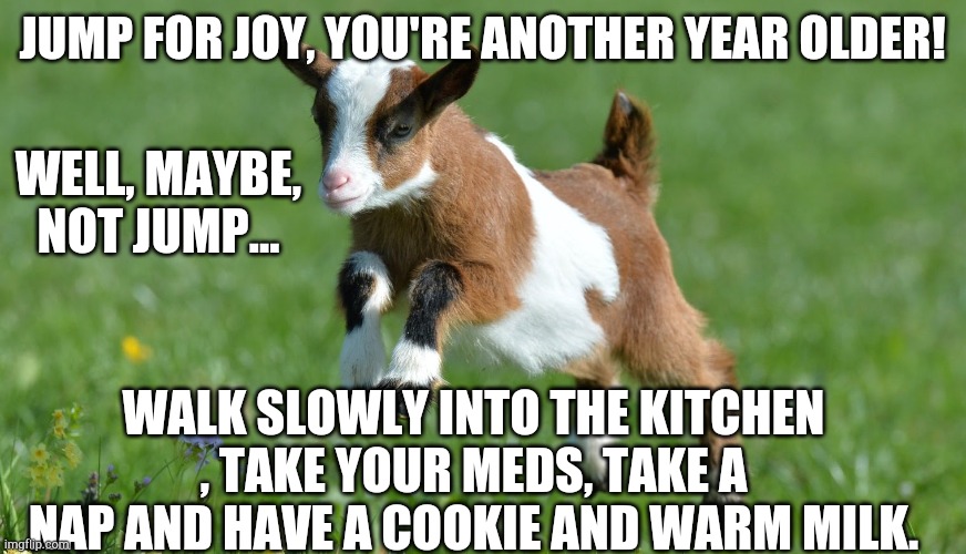 cute baby goat | JUMP FOR JOY, YOU'RE ANOTHER YEAR OLDER! WELL, MAYBE, NOT JUMP... WALK SLOWLY INTO THE KITCHEN , TAKE YOUR MEDS, TAKE A NAP AND HAVE A COOKIE AND WARM MILK. | image tagged in cute baby goat | made w/ Imgflip meme maker