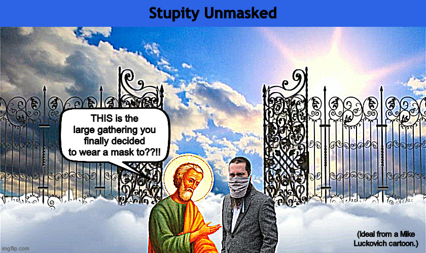 Stupidity Unmasked | image tagged in covid-19,covid 19,coronavirus,mask,saint peter,memes | made w/ Imgflip meme maker