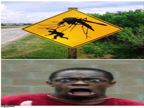 beware of giant mosquito - Imgflip