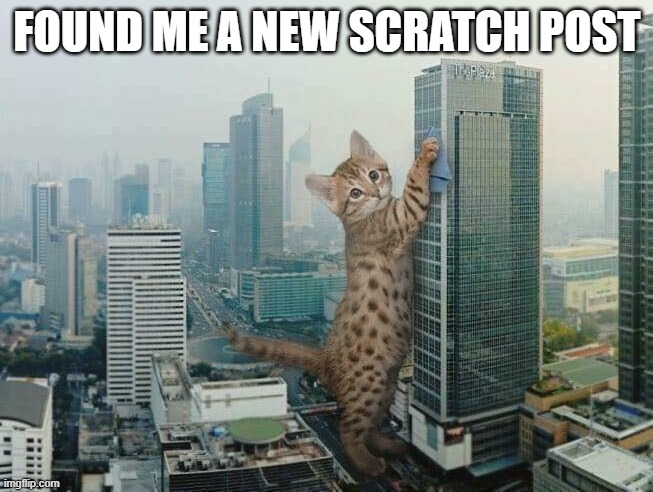 Catzilla | FOUND ME A NEW SCRATCH POST | image tagged in funny cats | made w/ Imgflip meme maker