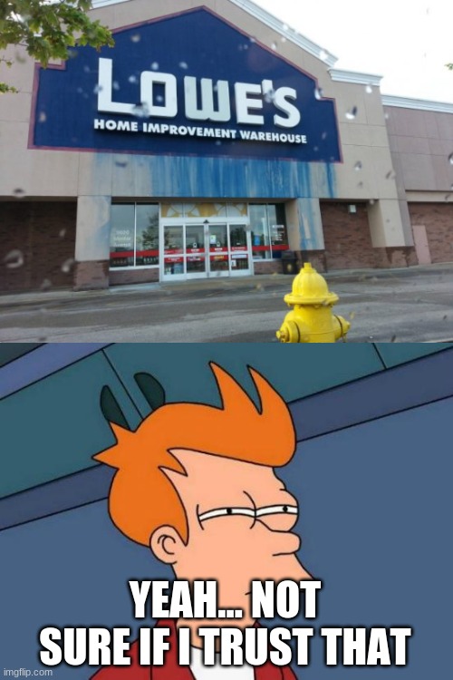 Fail | YEAH... NOT SURE IF I TRUST THAT | image tagged in memes,futurama fry,funny | made w/ Imgflip meme maker