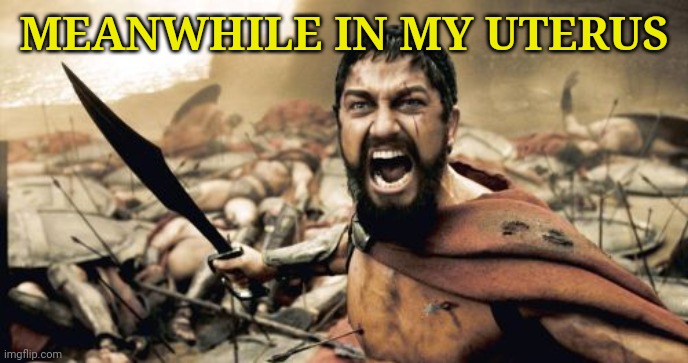 Sparta Leonidas | MEANWHILE IN MY UTERUS | image tagged in memes,sparta leonidas | made w/ Imgflip meme maker