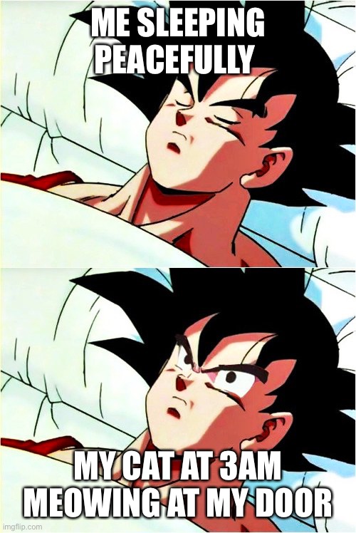 Trying to sleep | ME SLEEPING PEACEFULLY; MY CAT AT 3AM MEOWING AT MY DOOR | image tagged in goku sleeping wake up,cats,meow,sleeping,annoying,goku | made w/ Imgflip meme maker