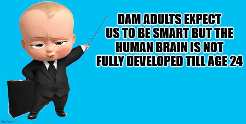 dam adults | DAM ADULTS EXPECT US TO BE SMART BUT THE HUMAN BRAIN IS NOT FULLY DEVELOPED TILL AGE 24 | image tagged in boss baby make a statement,kewlew | made w/ Imgflip meme maker