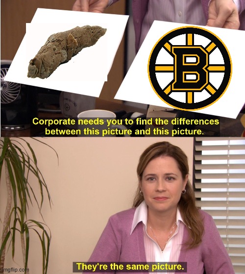You suck, Bruins! | image tagged in memes,they're the same picture,sports,nhl,hockey,hate | made w/ Imgflip meme maker