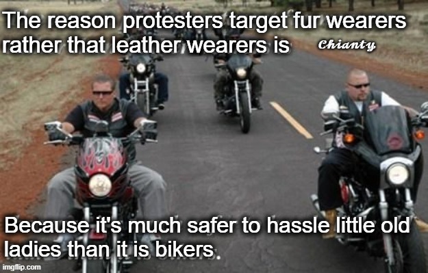 Protesters | image tagged in bikers | made w/ Imgflip meme maker