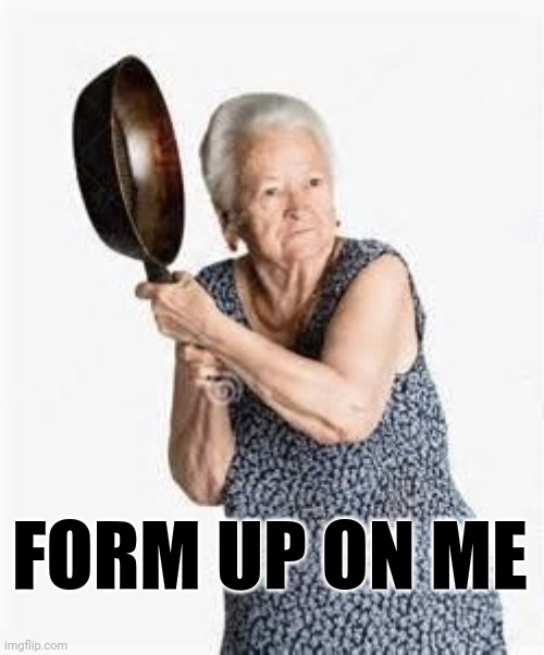 Old lady with pan | FORM UP ON ME | image tagged in granny old lady woman iron skillet milf sexy hot,pubg,gaming,old,grandma | made w/ Imgflip meme maker