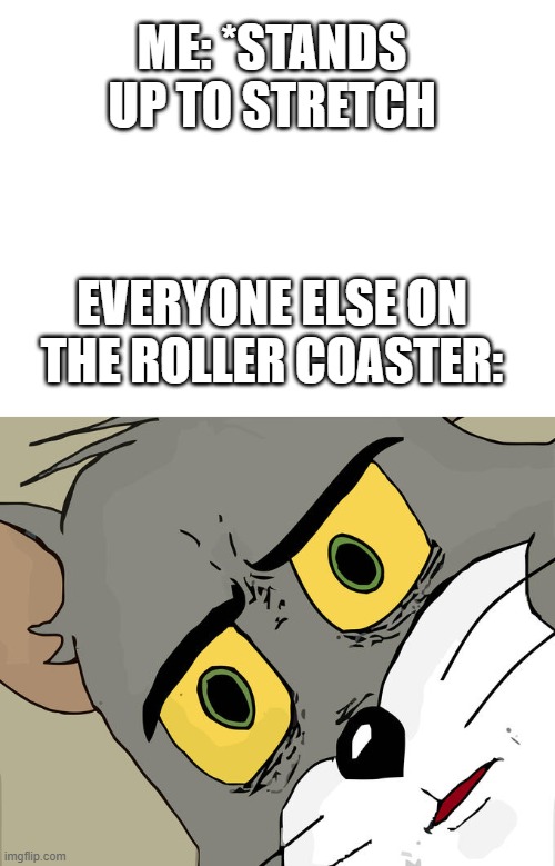 ME: *STANDS UP TO STRETCH; EVERYONE ELSE ON THE ROLLER COASTER: | image tagged in blank white template,memes,unsettled tom | made w/ Imgflip meme maker