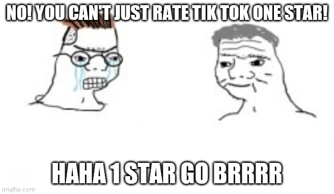 Tik Tok is trash. | NO! YOU CAN'T JUST RATE TIK TOK ONE STAR! HAHA 1 STAR GO BRRRR | image tagged in haha go brrrr | made w/ Imgflip meme maker