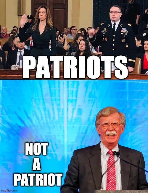 PATRIOTS; NOT 
A 
PATRIOT | made w/ Imgflip meme maker