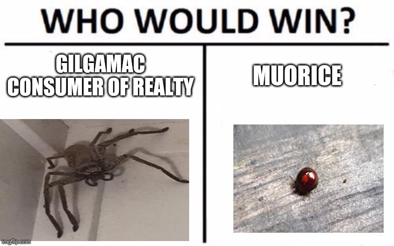 Who Would Win? Meme | GILGAMAC CONSUMER OF REALTY; MUORICE | image tagged in memes,who would win | made w/ Imgflip meme maker
