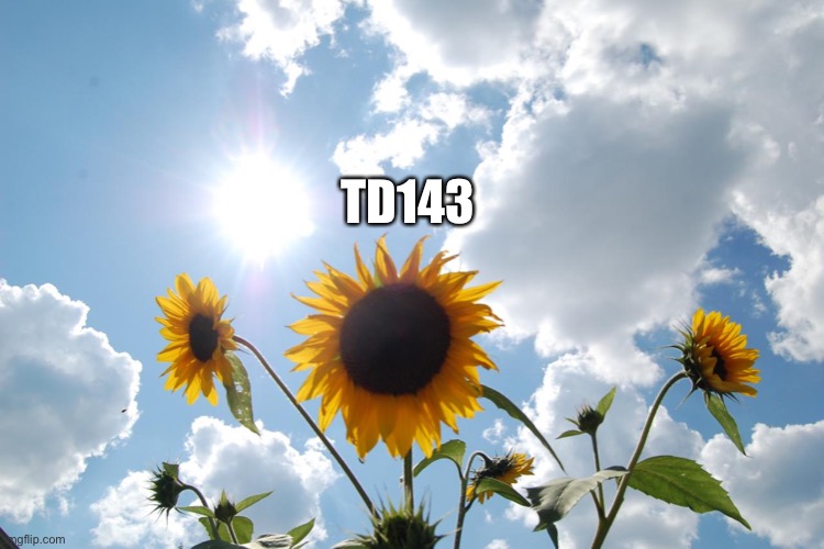 TD143 | made w/ Imgflip meme maker