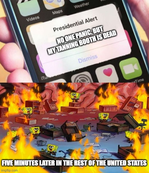 Wow, they'll find anything to riot about? | NO ONE PANIC, BUT MY TANNING BOOTH IS DEAD; FIVE MINUTES LATER IN THE REST OF THE UNITED STATES | image tagged in memes,presidential alert | made w/ Imgflip meme maker