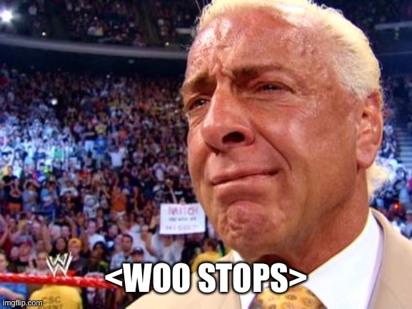 Woo stops | <WOO STOPS> | image tagged in pro wrestling | made w/ Imgflip meme maker