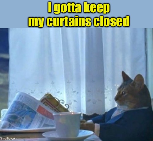 I Should Buy A Boat Cat Meme | I gotta keep my curtains closed | image tagged in memes,i should buy a boat cat | made w/ Imgflip meme maker