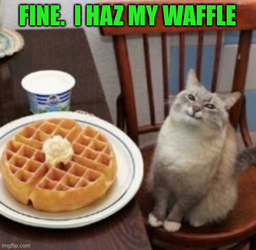 FINE.  I HAZ MY WAFFLE | made w/ Imgflip meme maker
