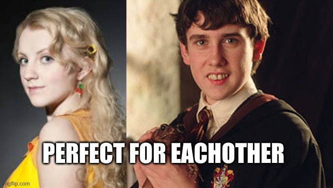 harry potter rules | PERFECT FOR EACHOTHER | image tagged in harrypotterfanforelife | made w/ Imgflip meme maker